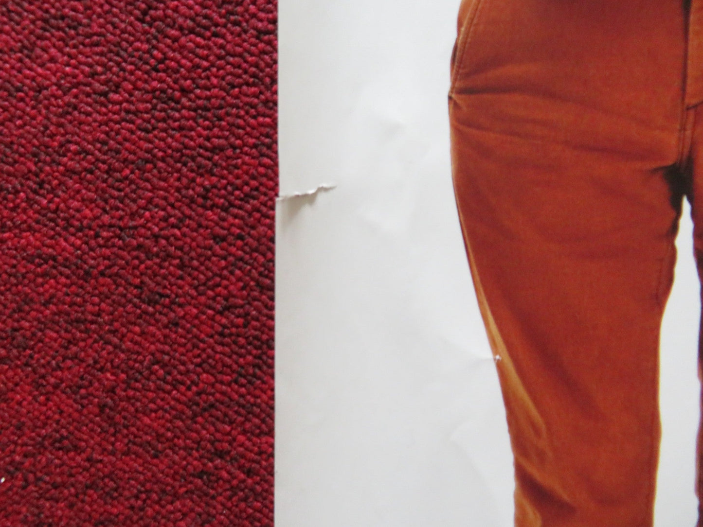 THE LOST KING UK QUAD ROLLED POSTER SALLY HAWKINS STEVE COOGAN 2022 Rendezvous Cinema Movie posters