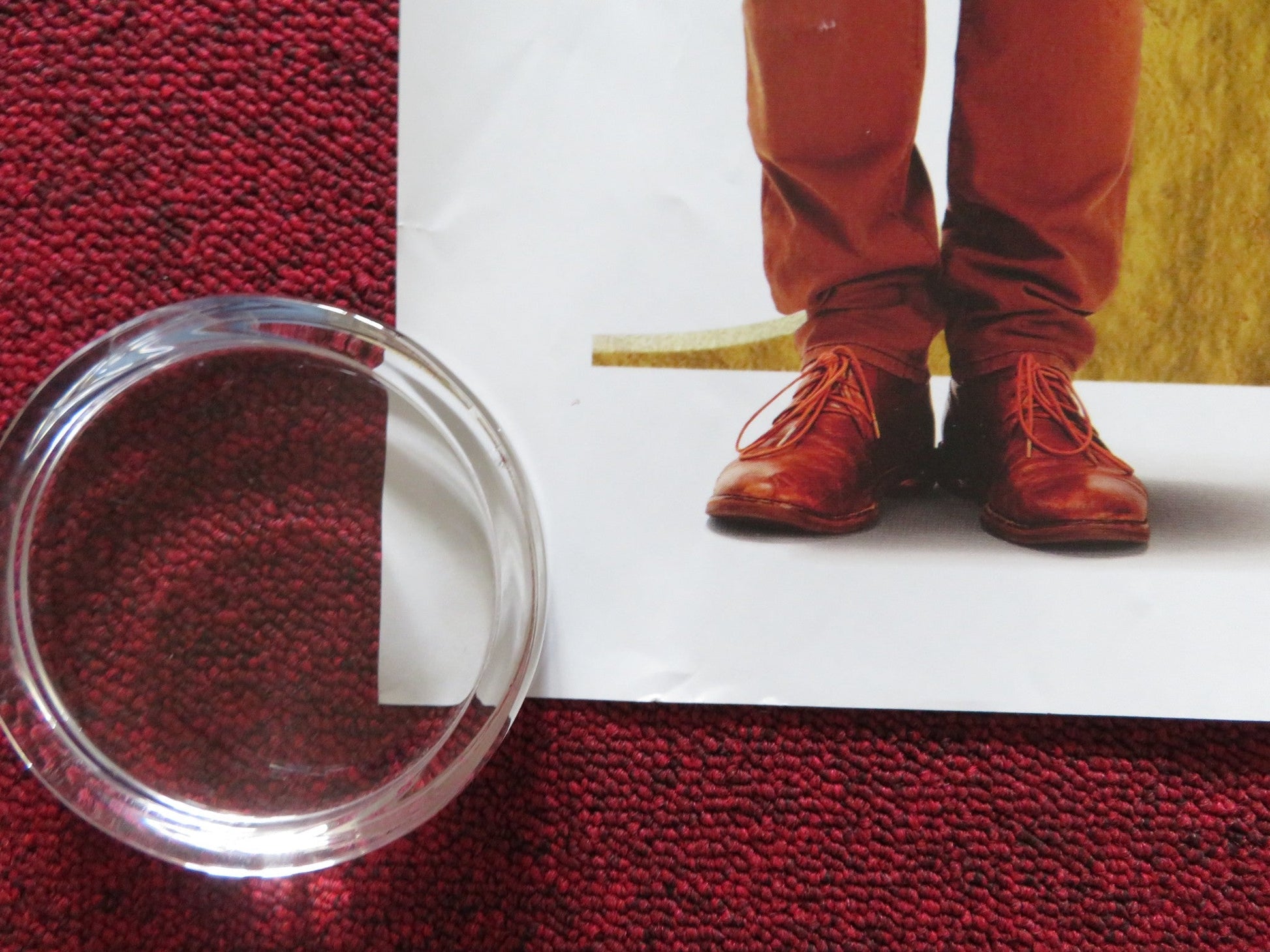 THE LOST KING UK QUAD ROLLED POSTER SALLY HAWKINS STEVE COOGAN 2022 Rendezvous Cinema Movie posters