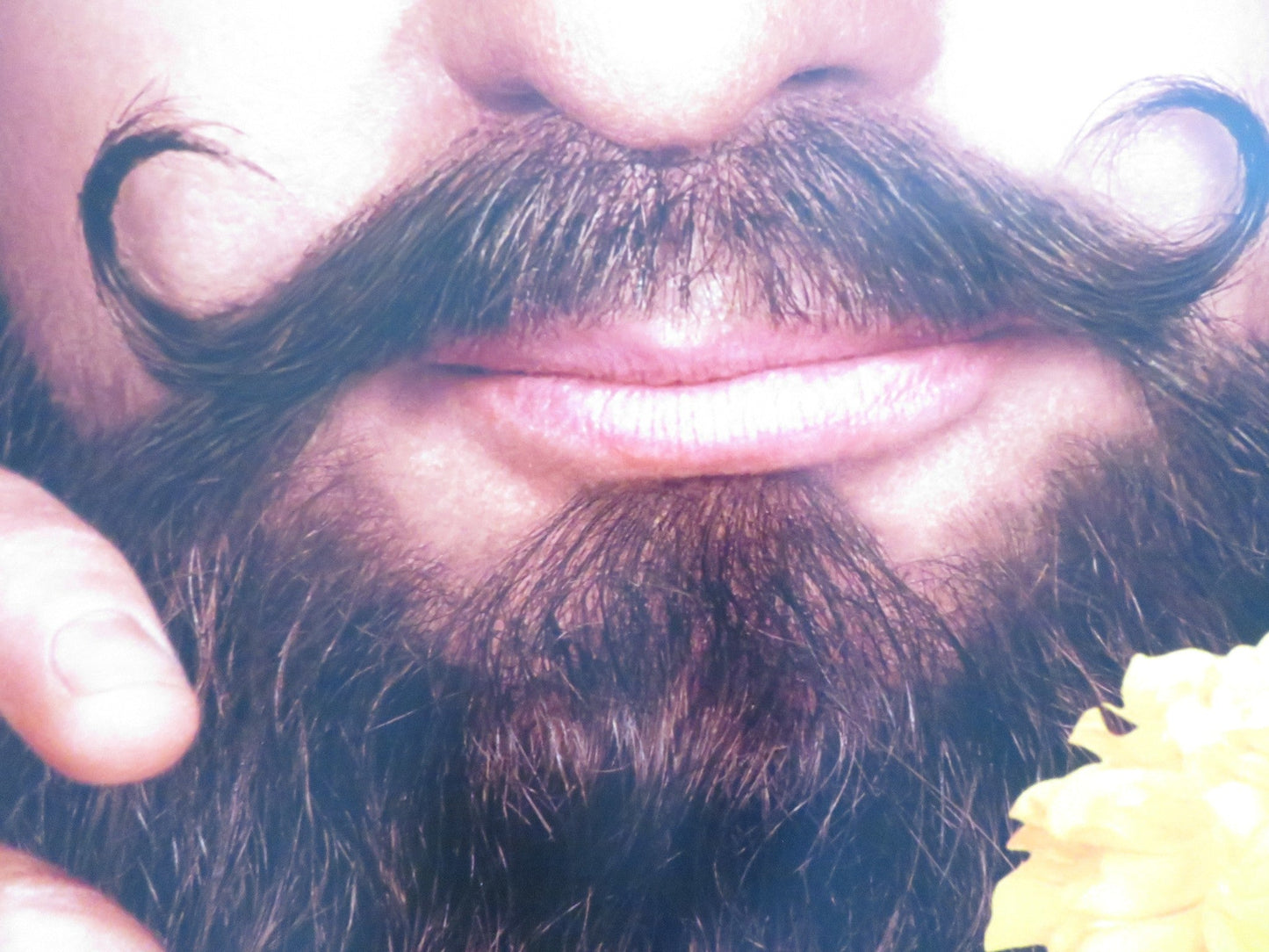 THE LOVE GURU US ONE SHEET ROLLED POSTER MIKE MYERS JESSICA SIMPSON 2008 Rendezvous Cinema Movie posters