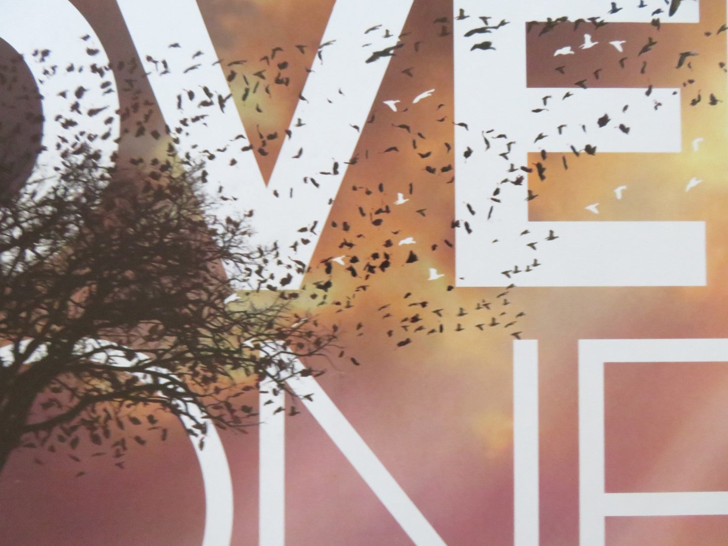 THE LOVELY BONES - B UK QUAD ROLLED POSTER SAOIRSE RONAN MARK WAHLBERG 2009 Rendezvous Cinema Movie posters