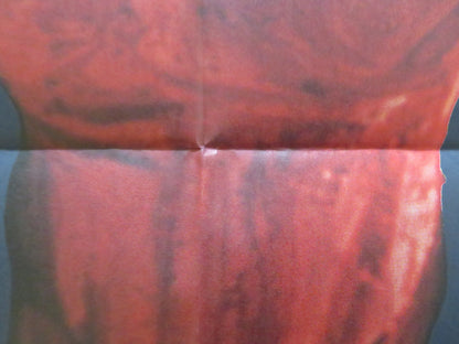 THE MAD ROOM GERMAN A1 POSTER FOLDED STELLA STEVENS SHELLEY WINTERS 1969 Rendezvous Cinema Movie posters