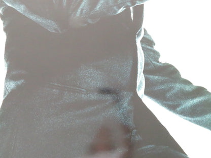 THE MATRIX RELOADED - E US ONE SHEET ROLLED POSTER HUGO WEAVING K. REEVES 2003 Movie posters