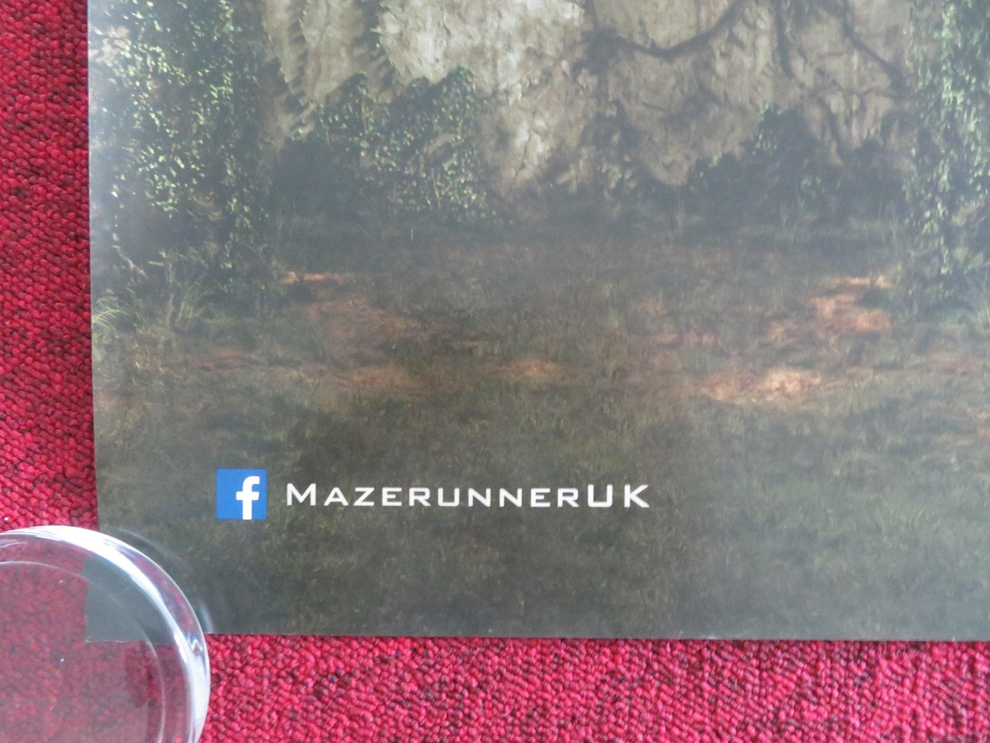 THE MAZE RUNNER - B UK QUAD ROLLED POSTER DYLAN O'BRIEN T. BRODIE-SANGSTER 2014 - Rendezvous Cinema