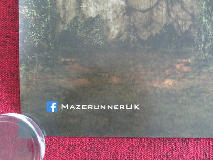 THE MAZE RUNNER - B UK QUAD ROLLED POSTER DYLAN O'BRIEN T. BRODIE-SANGSTER 2014 - Rendezvous Cinema