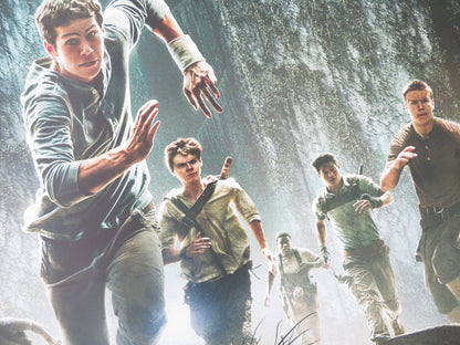 The Maze Runner UK Quad Rolled Poster Dylan O'Brien Will Poulter 2014 Movie posters