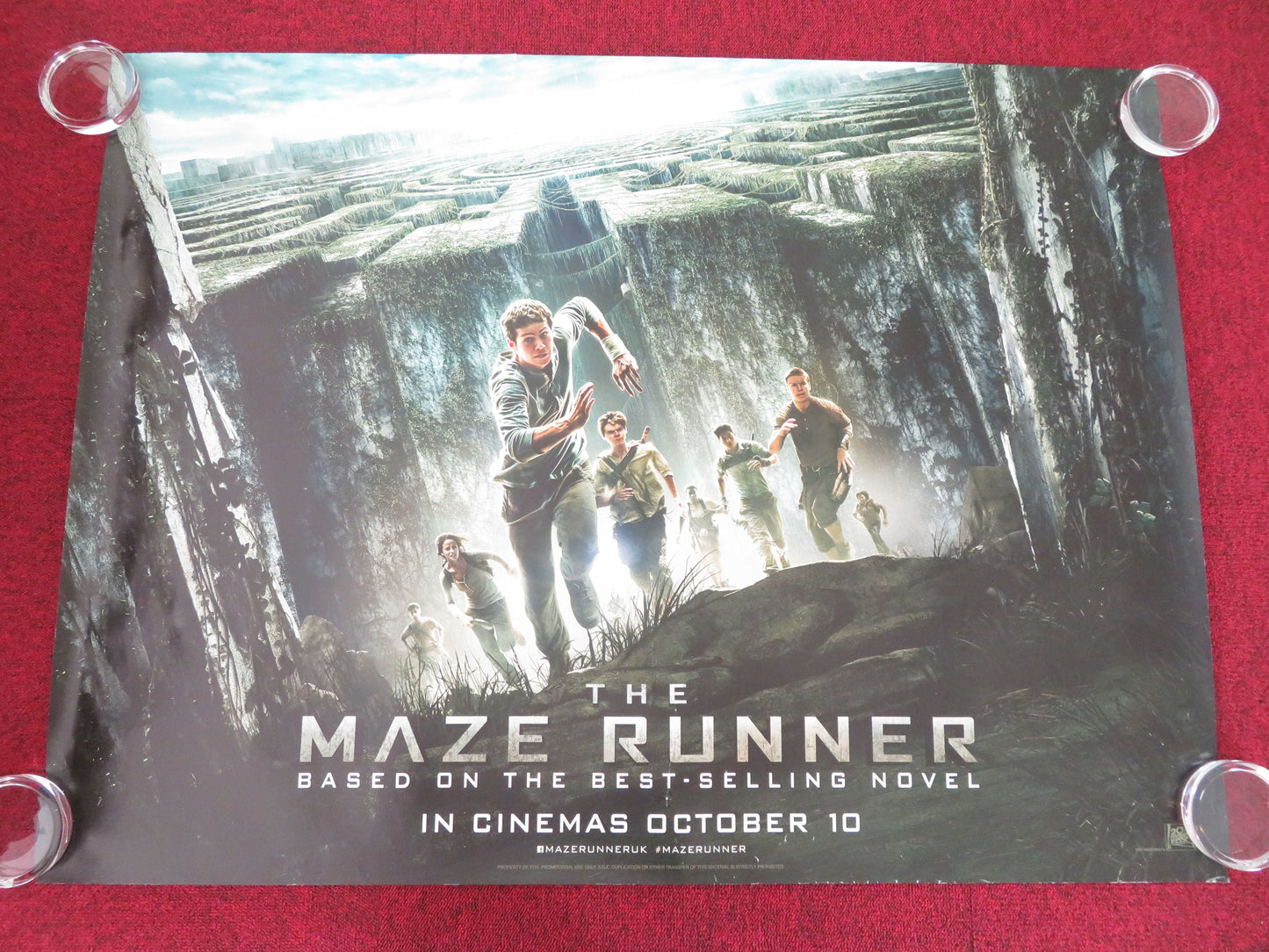 The Maze Runner UK Quad Rolled Poster Dylan O'Brien Will Poulter 2014 Movie posters