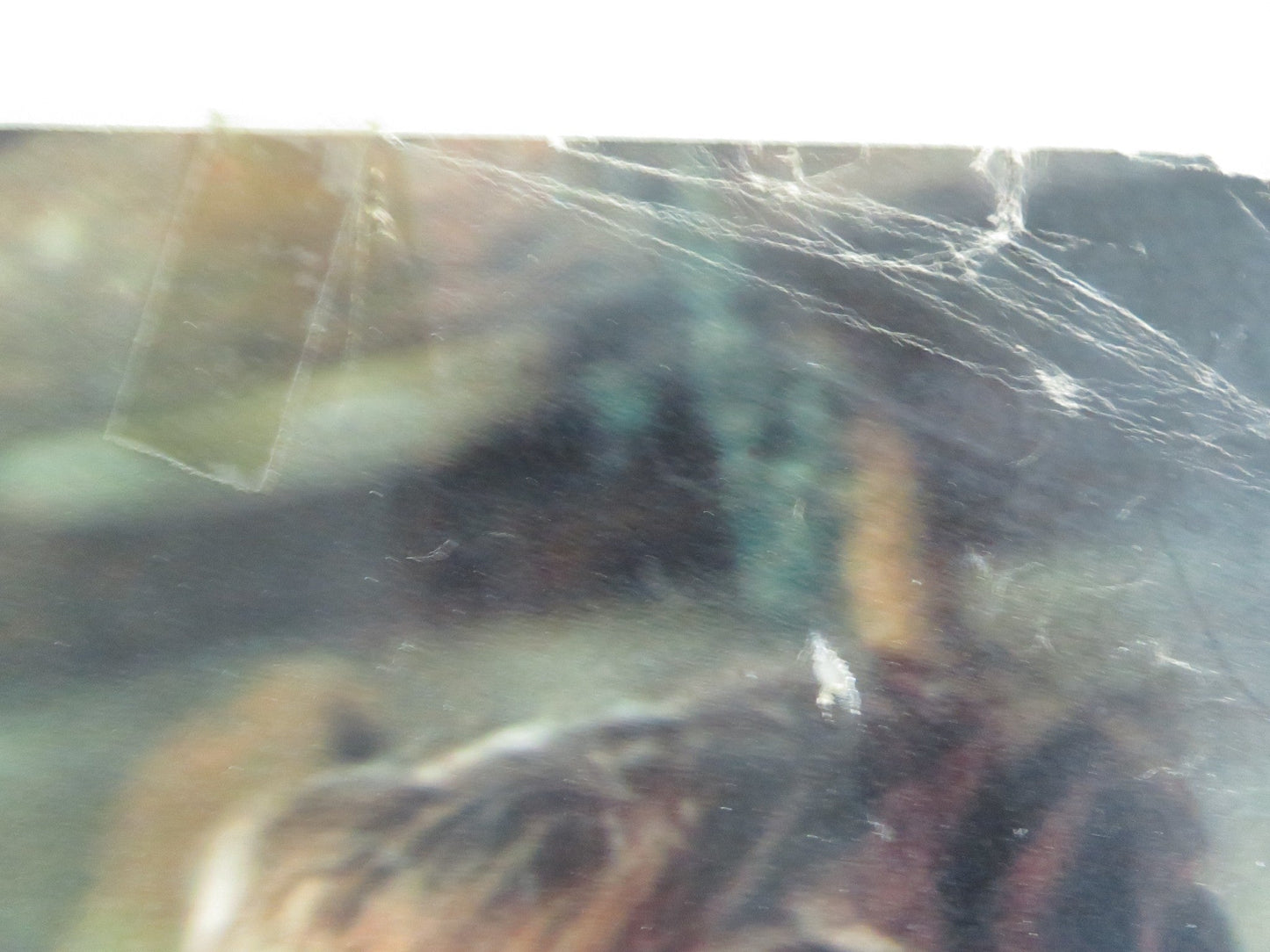 The Mercenary Italian Fotobusta Poster Franco Nero Jack Palance 1968 Movie posters