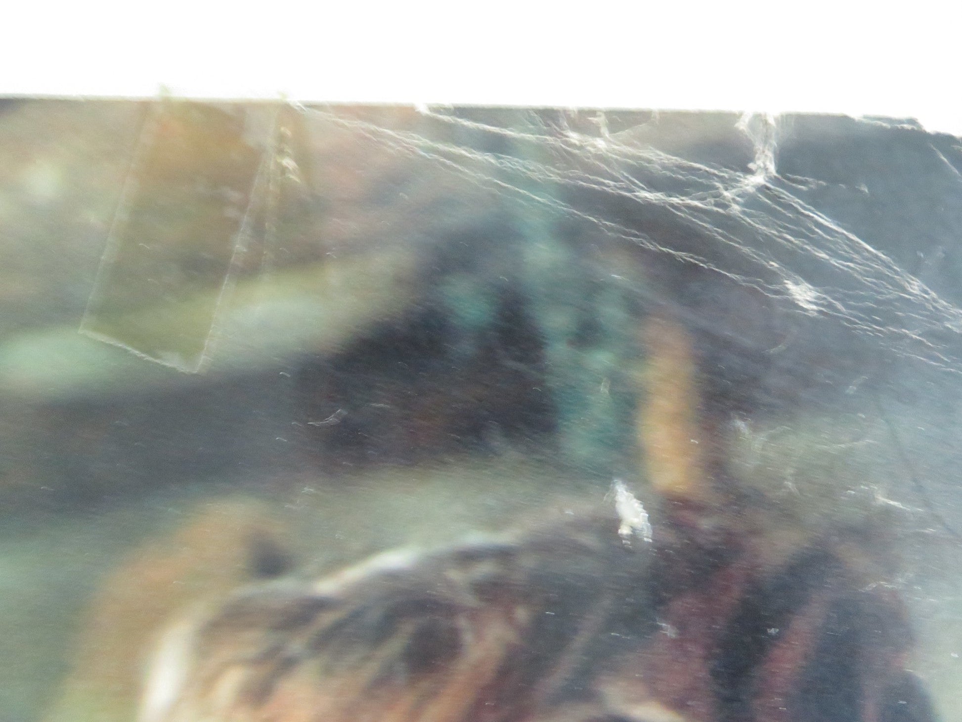 The Mercenary Italian Fotobusta Poster Franco Nero Jack Palance 1968 Movie posters