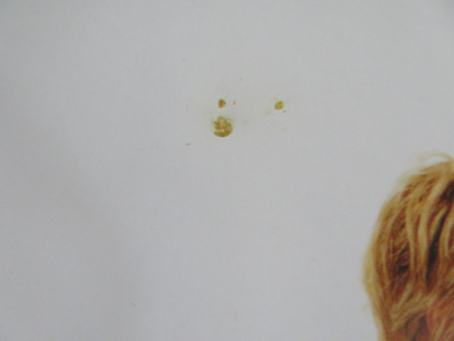 THE MEXICAN UK MINI QUAD POSTER BRAD PITT JULIA ROBERTS 2001 Rendezvous Cinema Movie posters