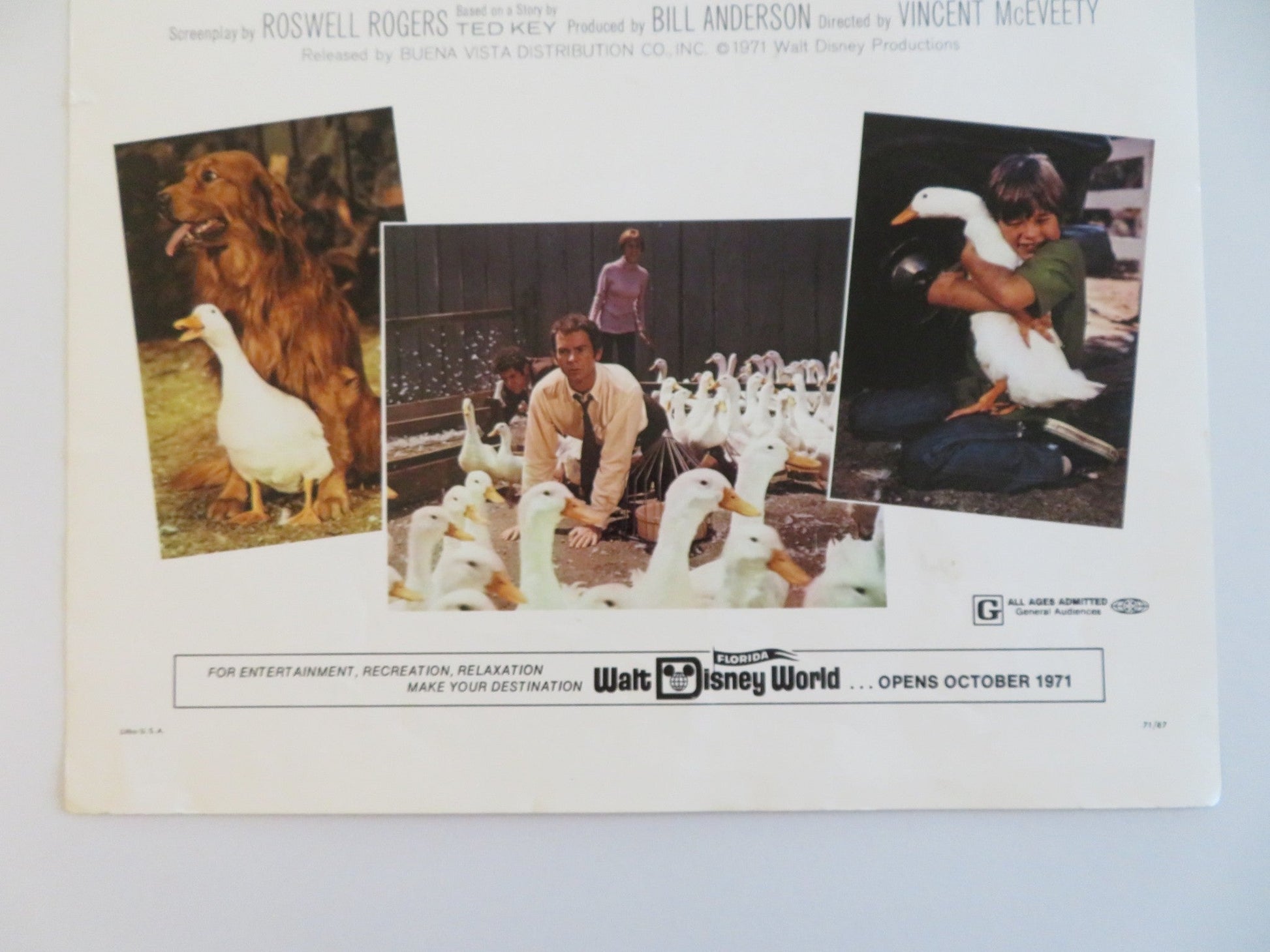 THE MILLION DOLLAR DUCK US INSERT POSTER DISNEY DEAN JONES SANDY DUNCAN 1971 Rendezvous Cinema Movie posters