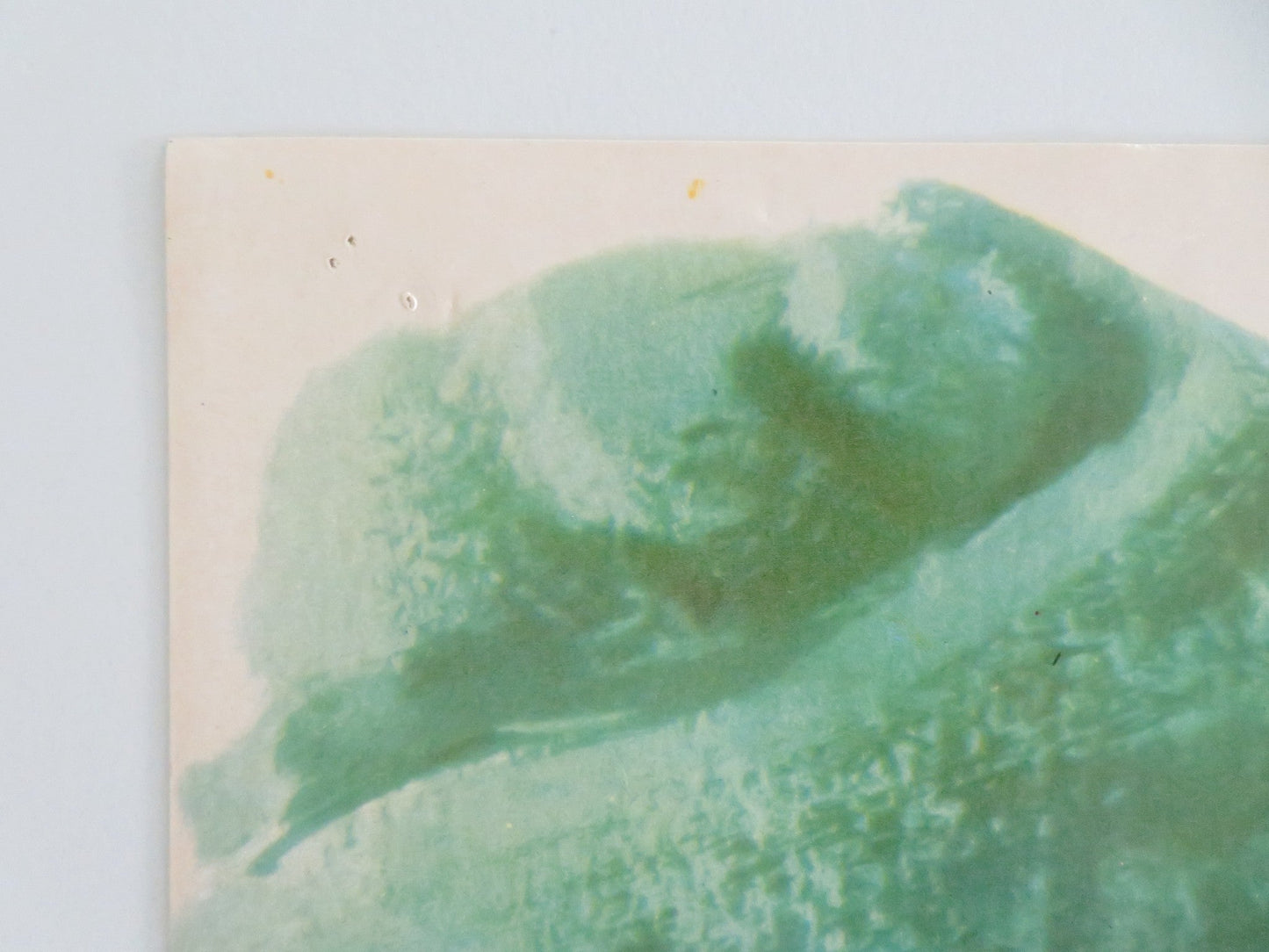 The Minx Italian Fotobusta Poster Jan Sterling Robert Rodan 1969 Movie posters