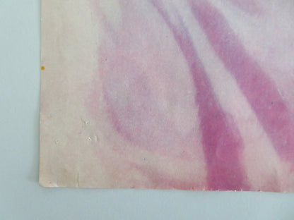 The Minx Italian Fotobusta Poster Jan Sterling Robert Rodan 1969 Movie posters