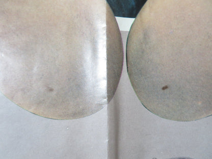 THE MOONSHINE WAR - B FOLDED US ONE SHEET POSTER PATRICK MCGOOHAN 1970 Rendezvous Cinema Movie posters