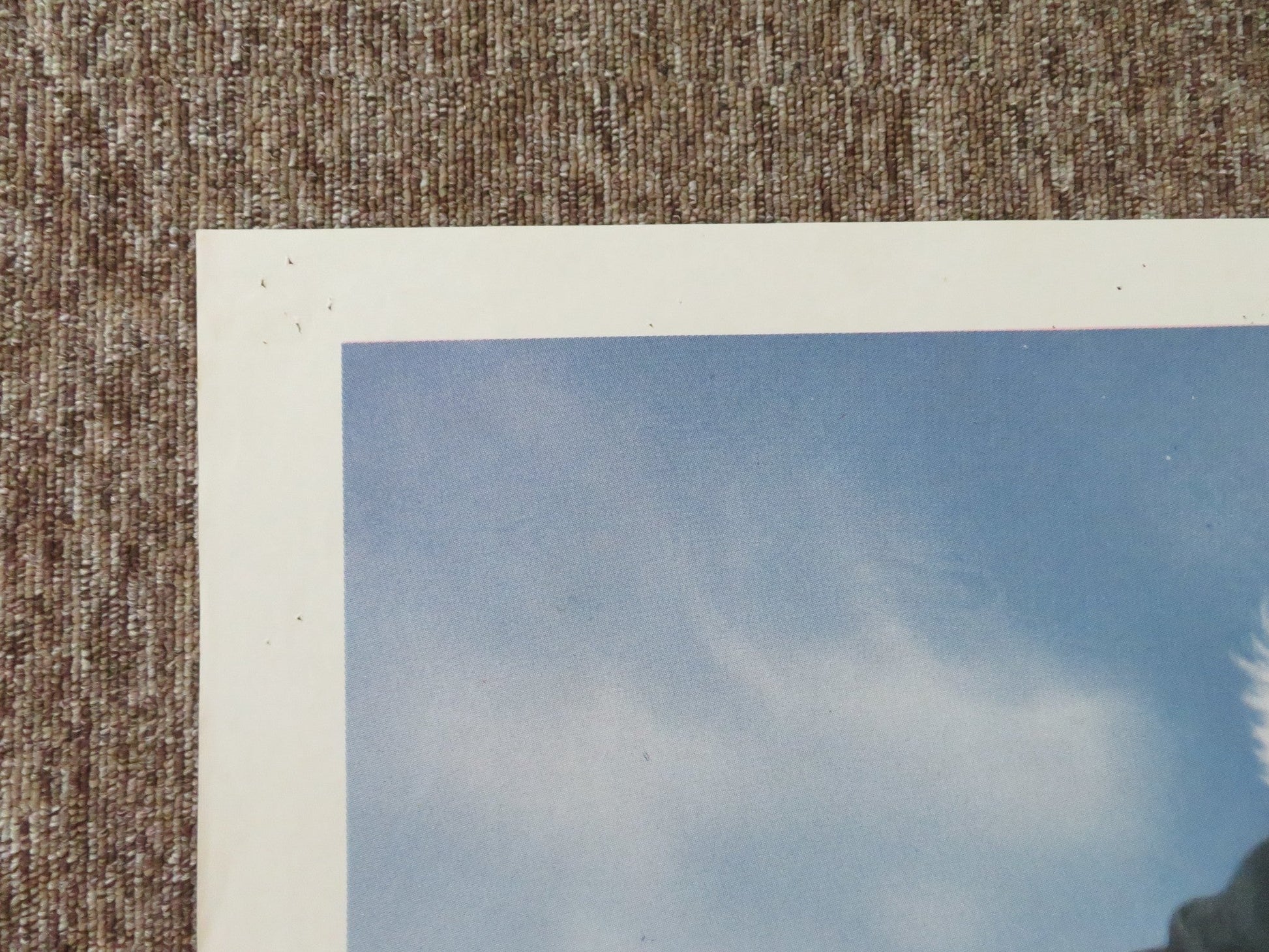 THE NAKED GUN ITALIAN 2 FOGLIO POSTER LESLIE NIELSEN PRISCILLA PRESLEY 1989 Rendezvous Cinema Movie posters