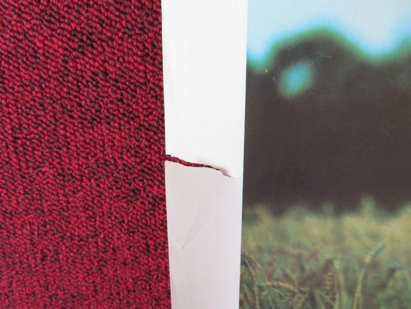 THE NATURAL ITALIAN LOCANDINA POSTER ROBERT REDFORD ROBERT DUVALL 1984 Rendezvous Cinema Movie posters