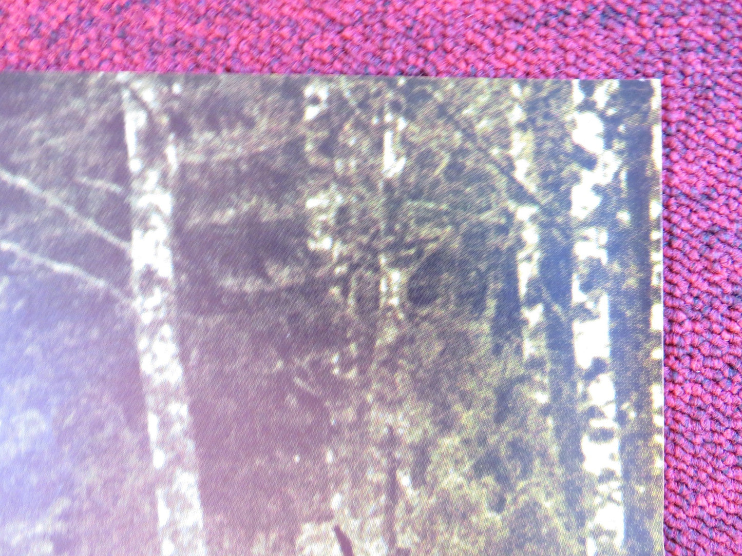 THE NEW LAND GERMAN A1 POSTER FOLDED MAX VON SYDOW LIV ULLMANN 1977 Rendezvous Cinema Movie posters