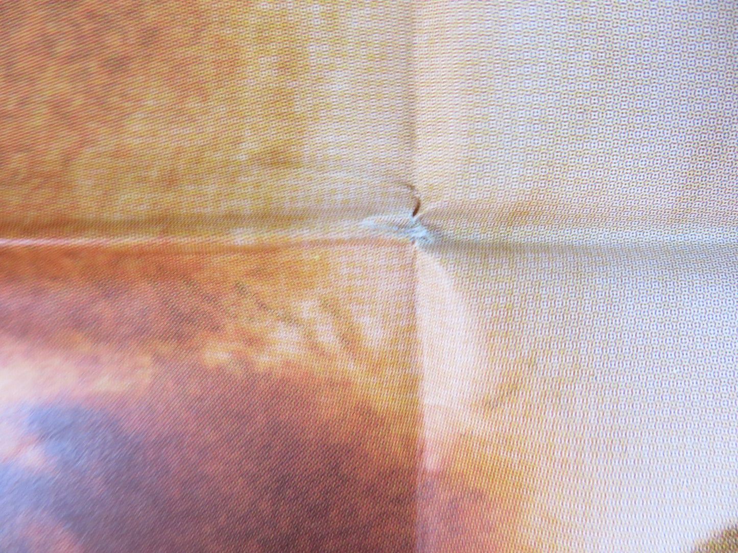 THE NEW LAND GERMAN A1 POSTER FOLDED MAX VON SYDOW LIV ULLMANN 1977 Rendezvous Cinema Movie posters