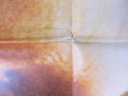 THE NEW LAND GERMAN A1 POSTER FOLDED MAX VON SYDOW LIV ULLMANN 1977 Rendezvous Cinema Movie posters