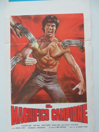 The New Shaolin Boxers Italian Locandina Poster Sheng Fu Jenny Tseng 1976 Movie posters