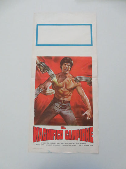 The New Shaolin Boxers Italian Locandina Poster Sheng Fu Jenny Tseng 1976 Movie posters