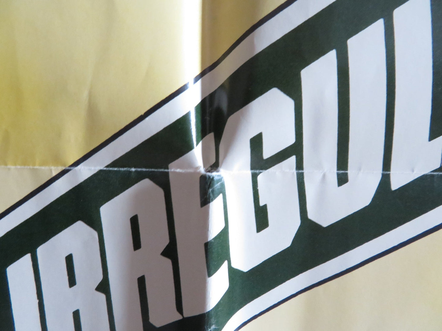 THE NORTH AVENUE IRREGULARS - B FOLDED US ONE SHEET POSTER DISNEY HERRMAN 1979 Rendezvous Cinema Movie posters