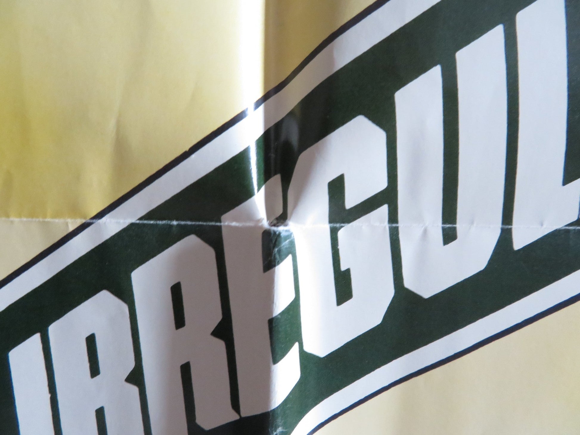 THE NORTH AVENUE IRREGULARS - B FOLDED US ONE SHEET POSTER DISNEY HERRMAN 1979 Rendezvous Cinema Movie posters