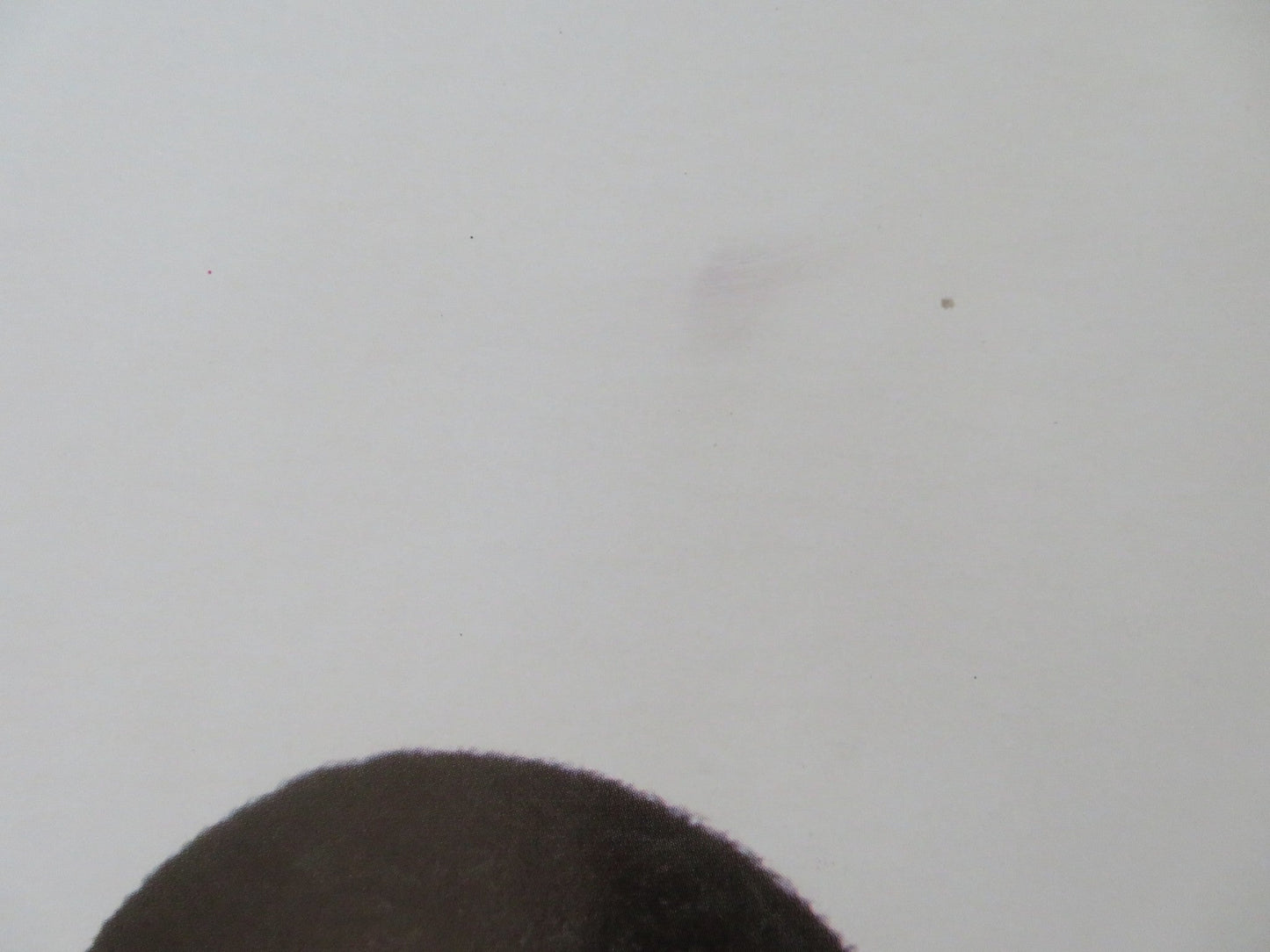 THE NUTTY PROFESSOR UK QUAD ROLLED POSTER EDDIE MURPHY JADA PINKETT SMITH 1996 Rendezvous Cinema Movie posters