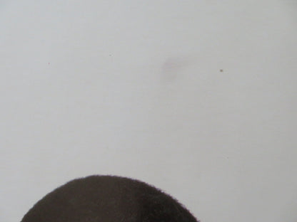 THE NUTTY PROFESSOR UK QUAD ROLLED POSTER EDDIE MURPHY JADA PINKETT SMITH 1996 Rendezvous Cinema Movie posters