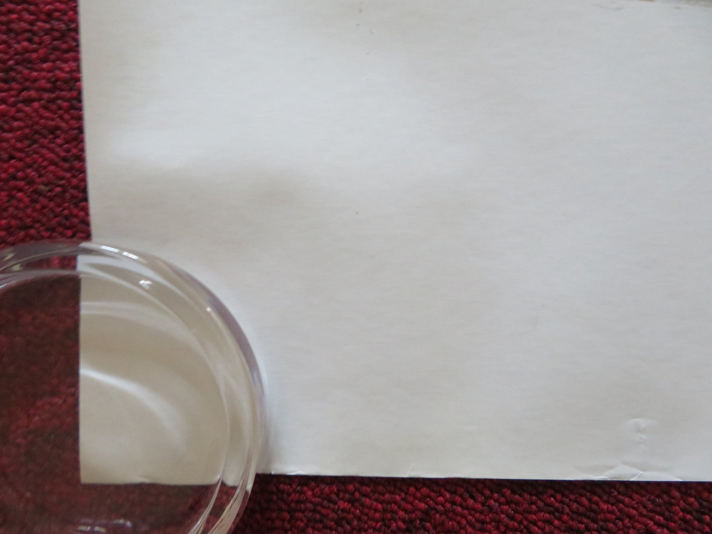 THE ODD COUPLE II UK QUAD ROLLED POSTER JACK LEMMON WALTER MATTHAU 1998 Rendezvous Cinema Movie posters