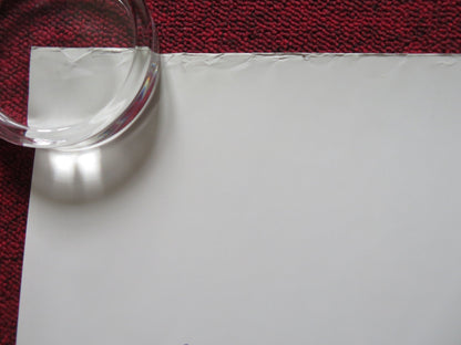 THE OLD MAN & THE GUN UK QUAD ROLLED POSTER ROBERT REDFORD CASEY AFFLECK 2018 Rendezvous Cinema Movie posters