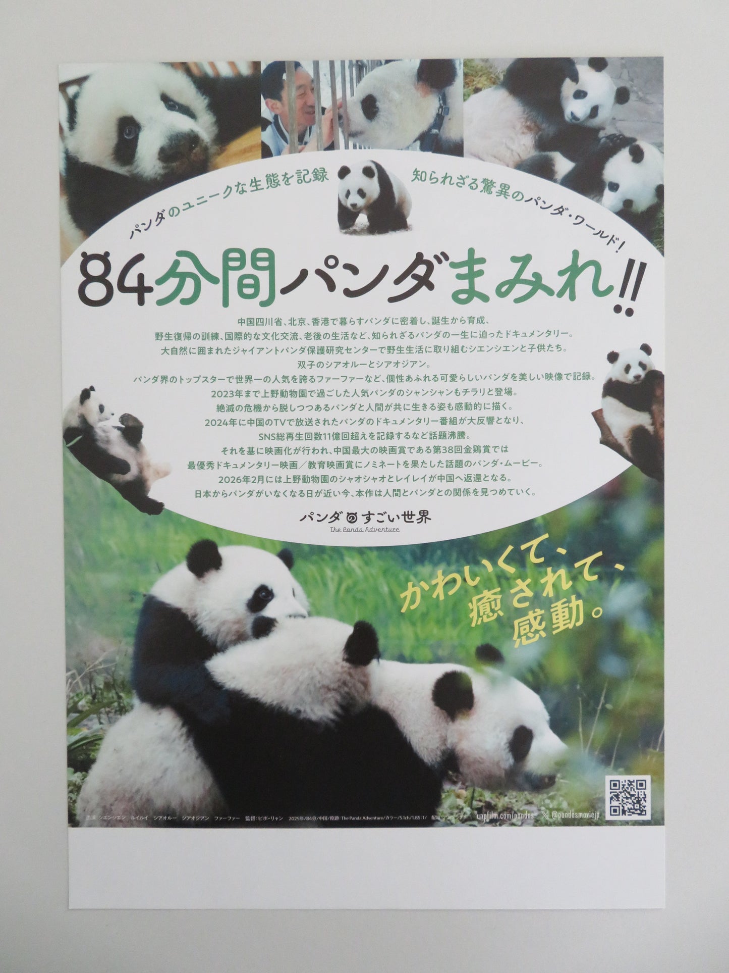 The Panda Adventure - B Japanese Chirashi (B5) Poster Kenichi Endo 2024 Movie posters
