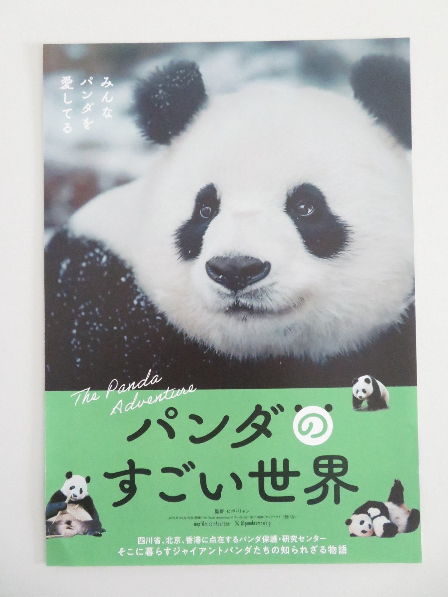 The Panda Adventure Japanese Chirashi (B5) Poster Kenichi Endo 2026 Movie posters