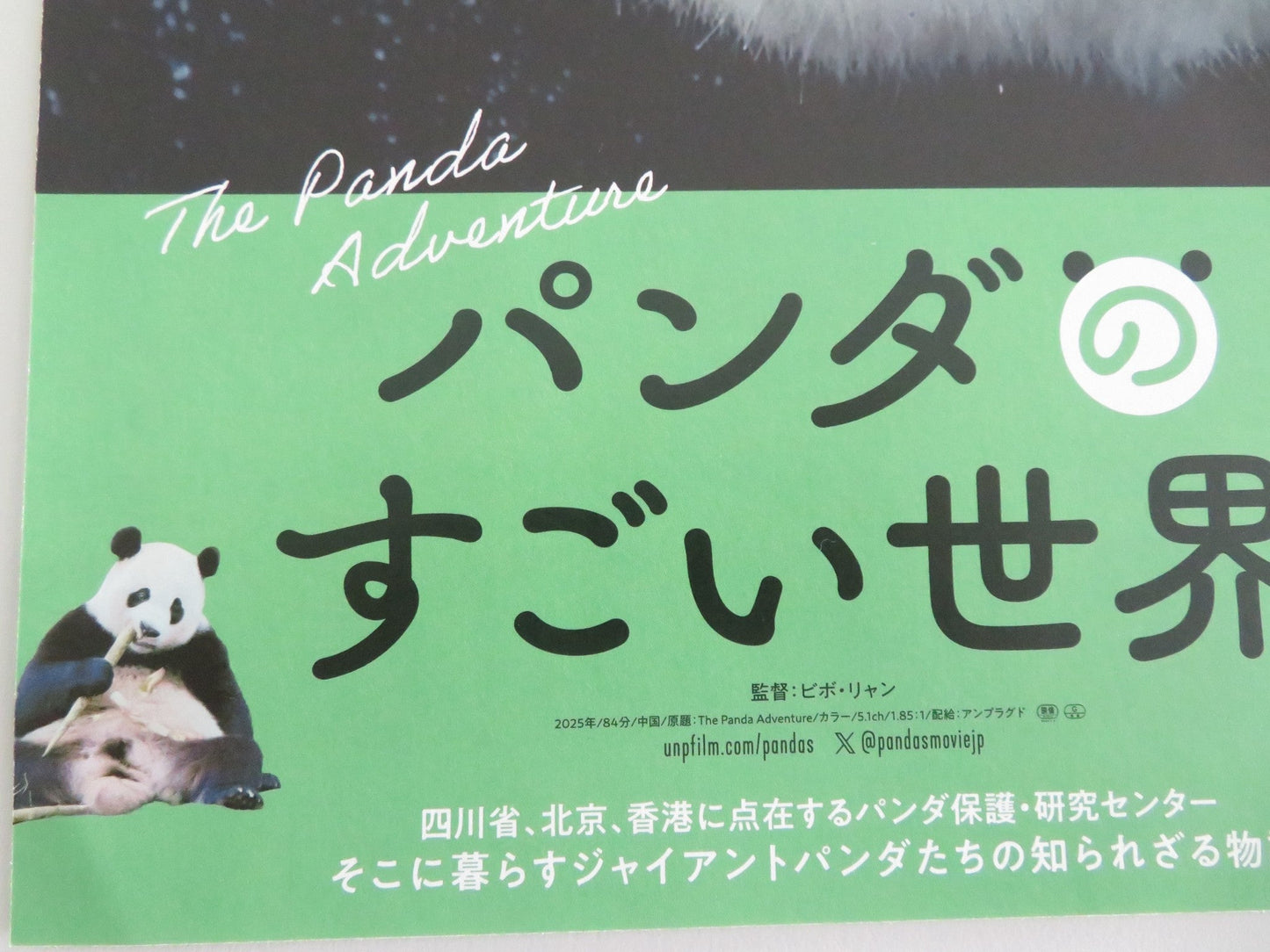 The Panda Adventure Japanese Chirashi (B5) Poster Kenichi Endo 2026 Movie posters