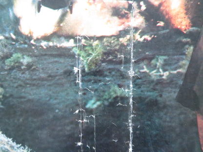 THE PEOPLE THAT TIME FORGOT - B ITALIAN FOTOBUSTA POSTER DOUG MCCLURE 1978 Rendezvous Cinema Movie posters