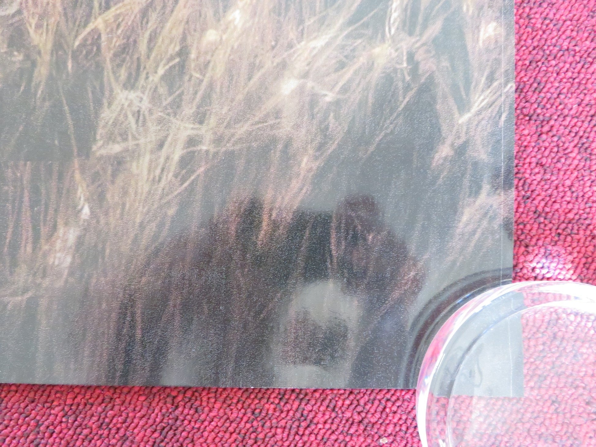 THE PIANO LESSON UK QUAD ROLLED POSTER SAMUEL L. JACKSON RAY FISHER 2024 Rendezvous Cinema Movie posters