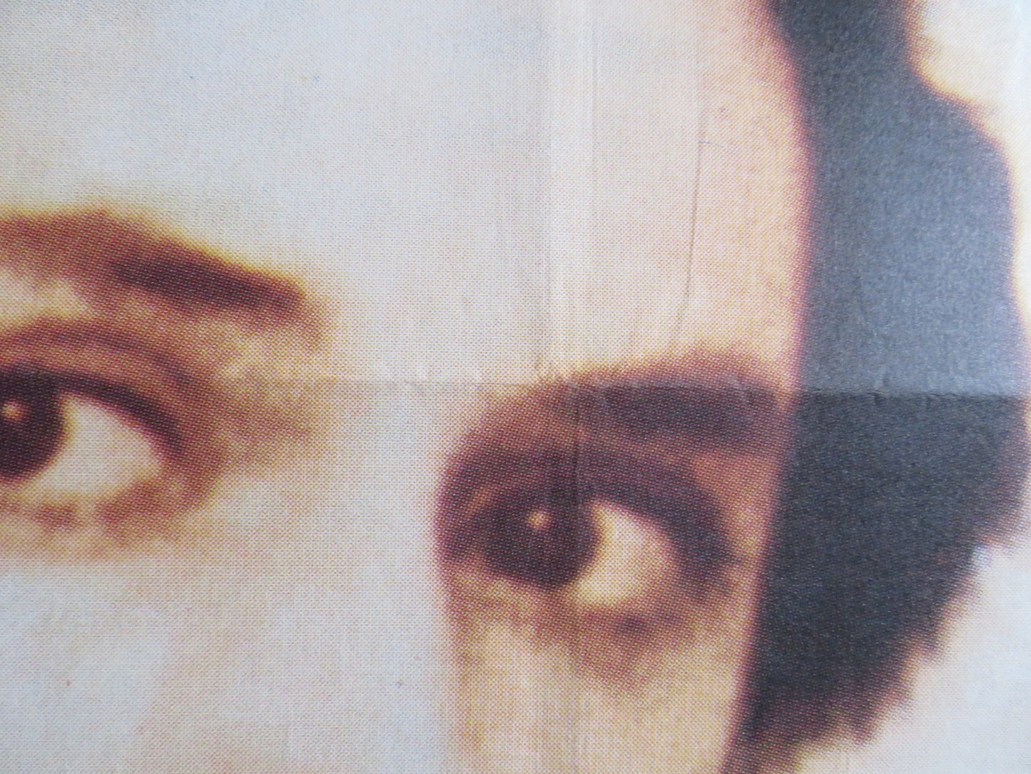 THE PIANO TURKISH POSTER ROLLED HOLLY HUNTER HARVEY KEITEL 1993 Rendezvous Cinema Movie posters