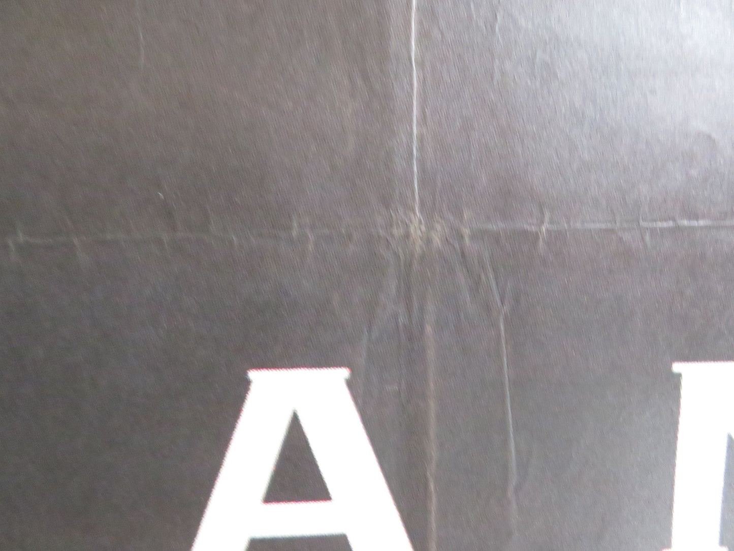 THE PIANO TURKISH POSTER ROLLED HOLLY HUNTER HARVEY KEITEL 1993 Rendezvous Cinema Movie posters