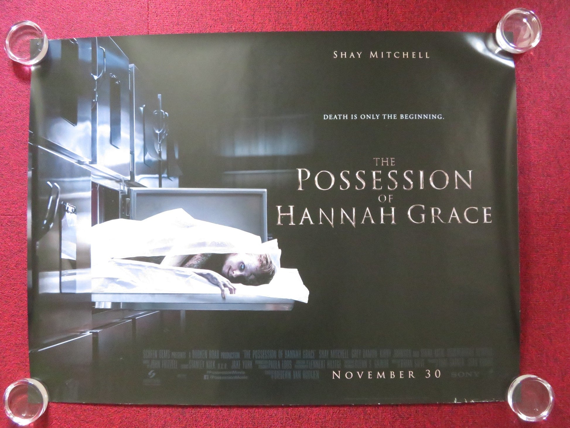 THE POSSESSION OF HANNAH GRACE UK QUAD ROLLED POSTER SHAY MITCHELL G. DAMON 2018 Rendezvous Cinema Movie posters