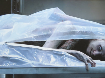 THE POSSESSION OF HANNAH GRACE US ONE SHEET ROLLED POSTER SHAY MITCHELL 2018 Rendezvous Cinema Movie posters