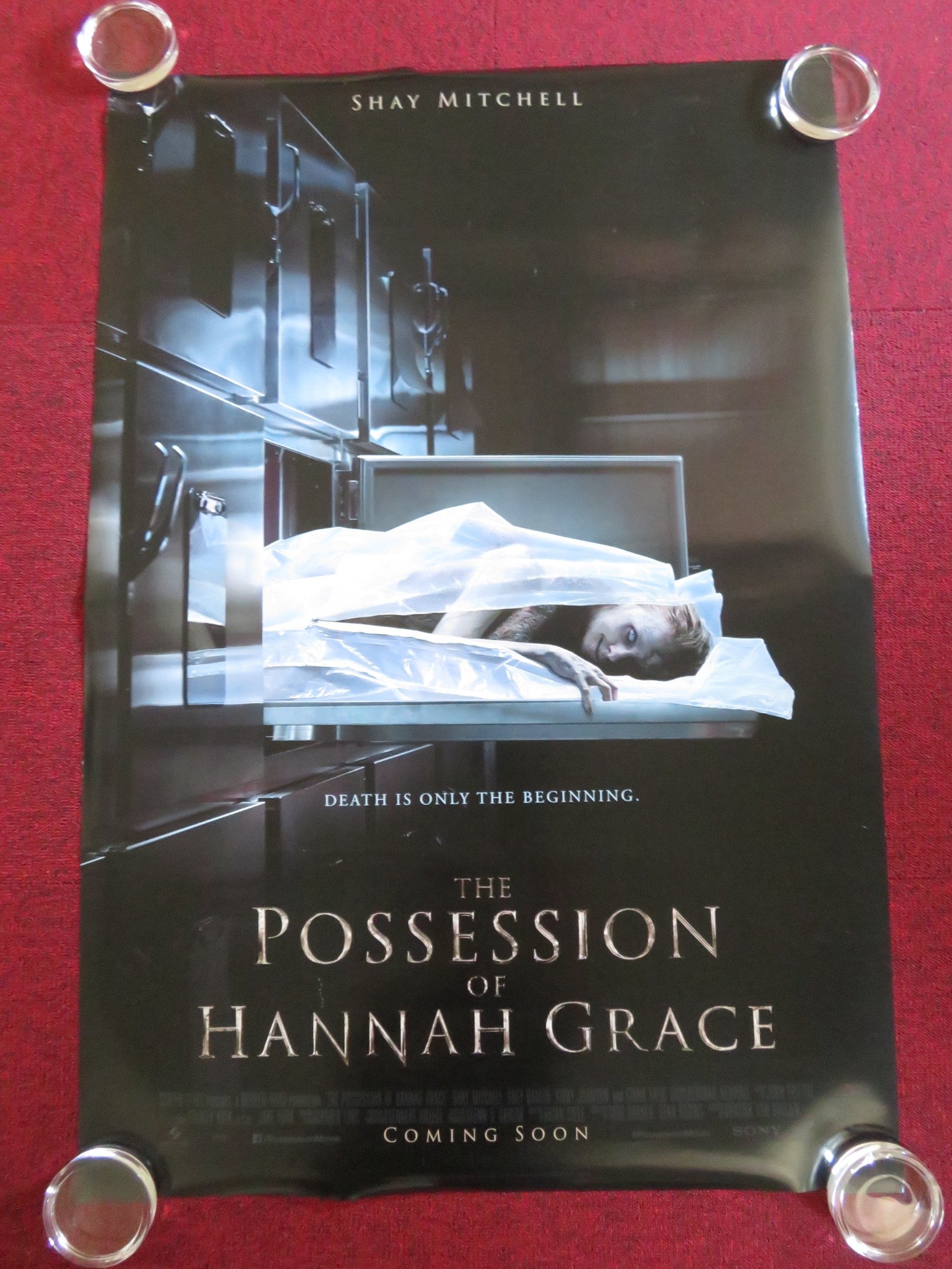 THE POSSESSION OF HANNAH GRACE US ONE SHEET ROLLED POSTER SHAY MITCHELL 2018 Rendezvous Cinema Movie posters