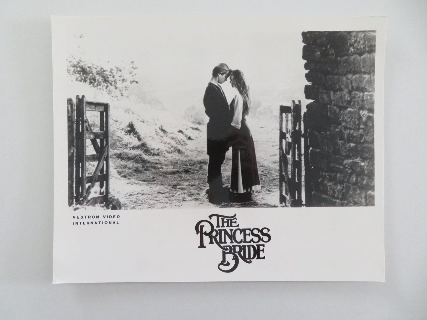 THE PRINCESS BRIDE MOVIE STILL PHOTO CARY ELWES ROBIN WRIGHT 1987 Movie posters