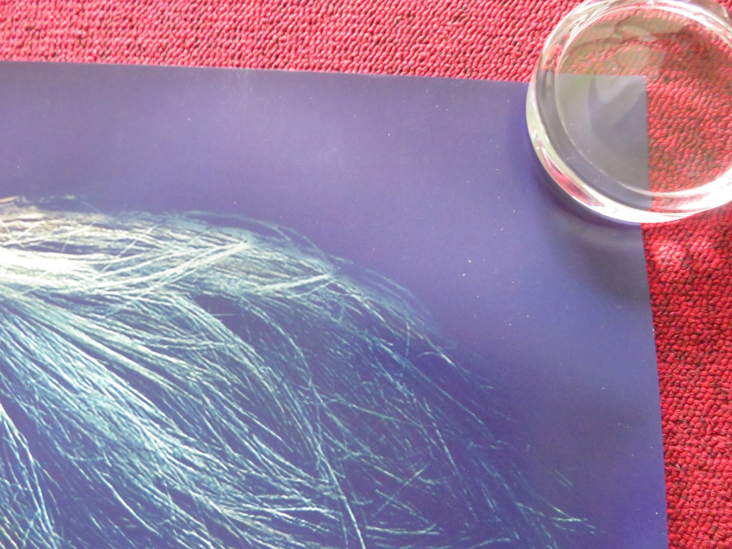 THE PROMISED LAND UK QUAD ROLLED POSTER MADS MIKKELSEN AMANDA COLLIN 2023 Rendezvous Cinema Movie posters