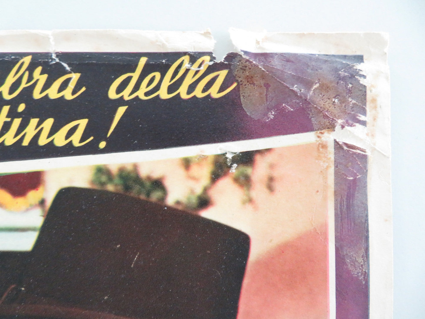 THE PURPLE MASK ITALIAN FOTOBUSTA POSTER TONY CURTIS COLLEEN MILLER 1955 Movie posters