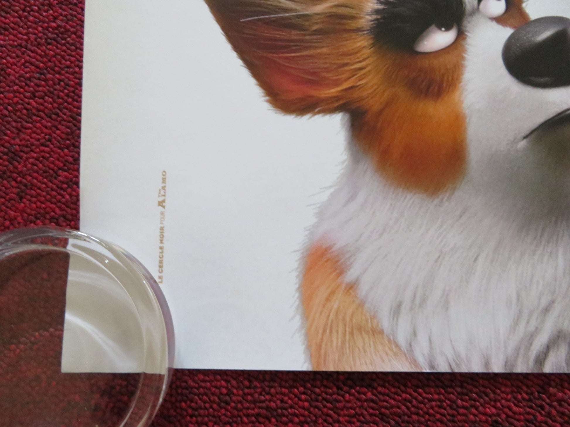 THE QUEEN'S CORGI - B UK QUAD ROLLED POSTER JACK WHITEHALL RAY WINSTONE 2019 Rendezvous Cinema Movie posters