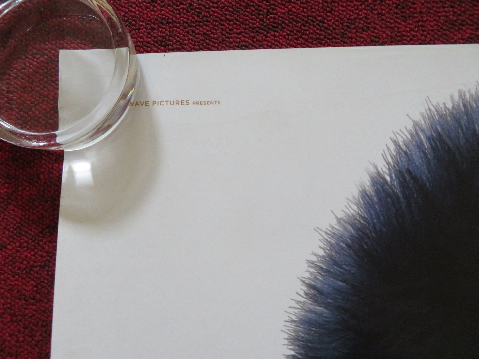 THE QUEEN'S CORGI - B UK QUAD ROLLED POSTER JACK WHITEHALL RAY WINSTONE 2019 Rendezvous Cinema Movie posters