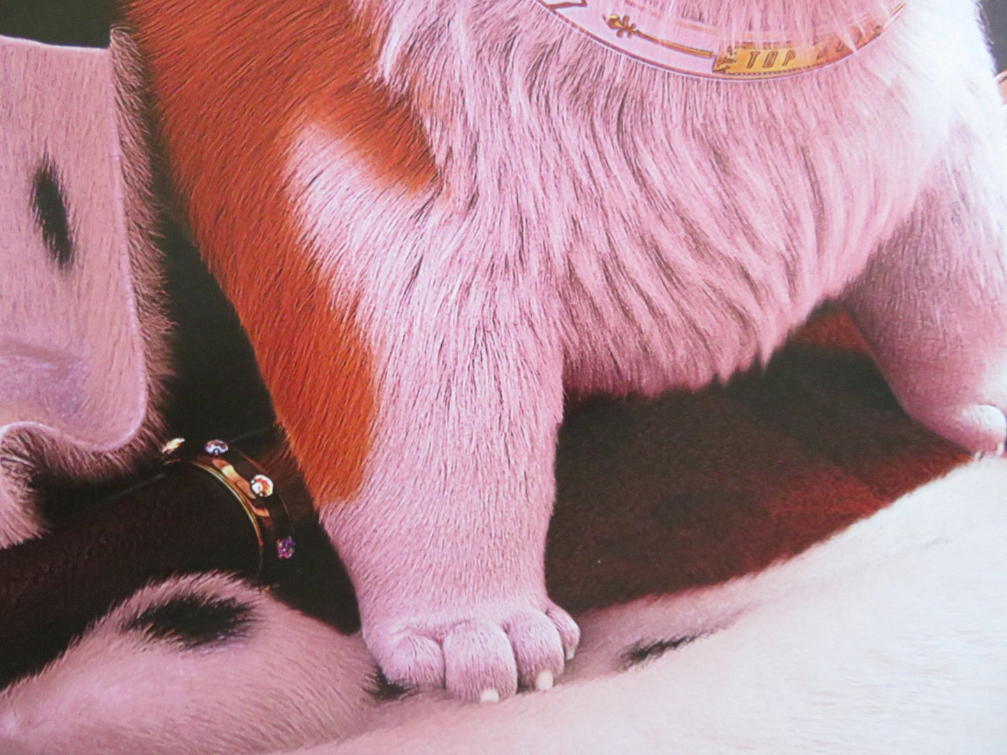 THE QUEEN'S CORGI US ONE SHEET ROLLED POSTER RUSTY SHACKLEFORD JO WYATT 2019 Rendezvous Cinema Movie posters