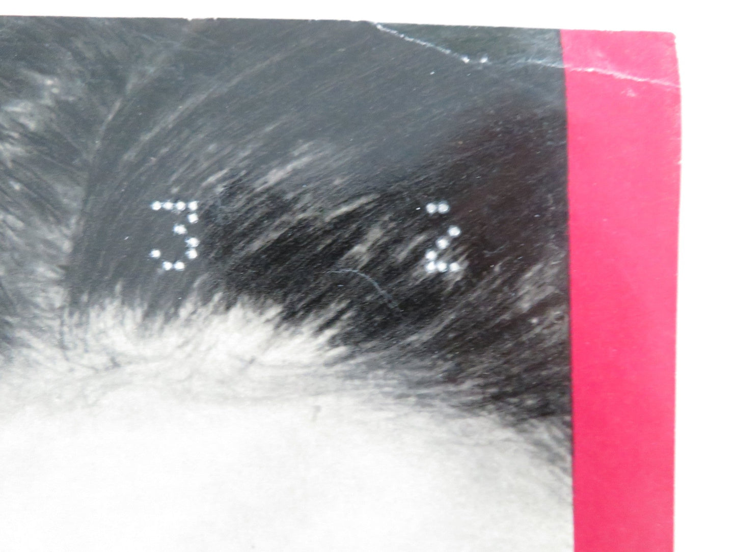 THE RAZOR'S EDGE ITALIAN FOTOBUSTA POSTER TYRONE POWER GENE TIERNEY R1946 Movie posters