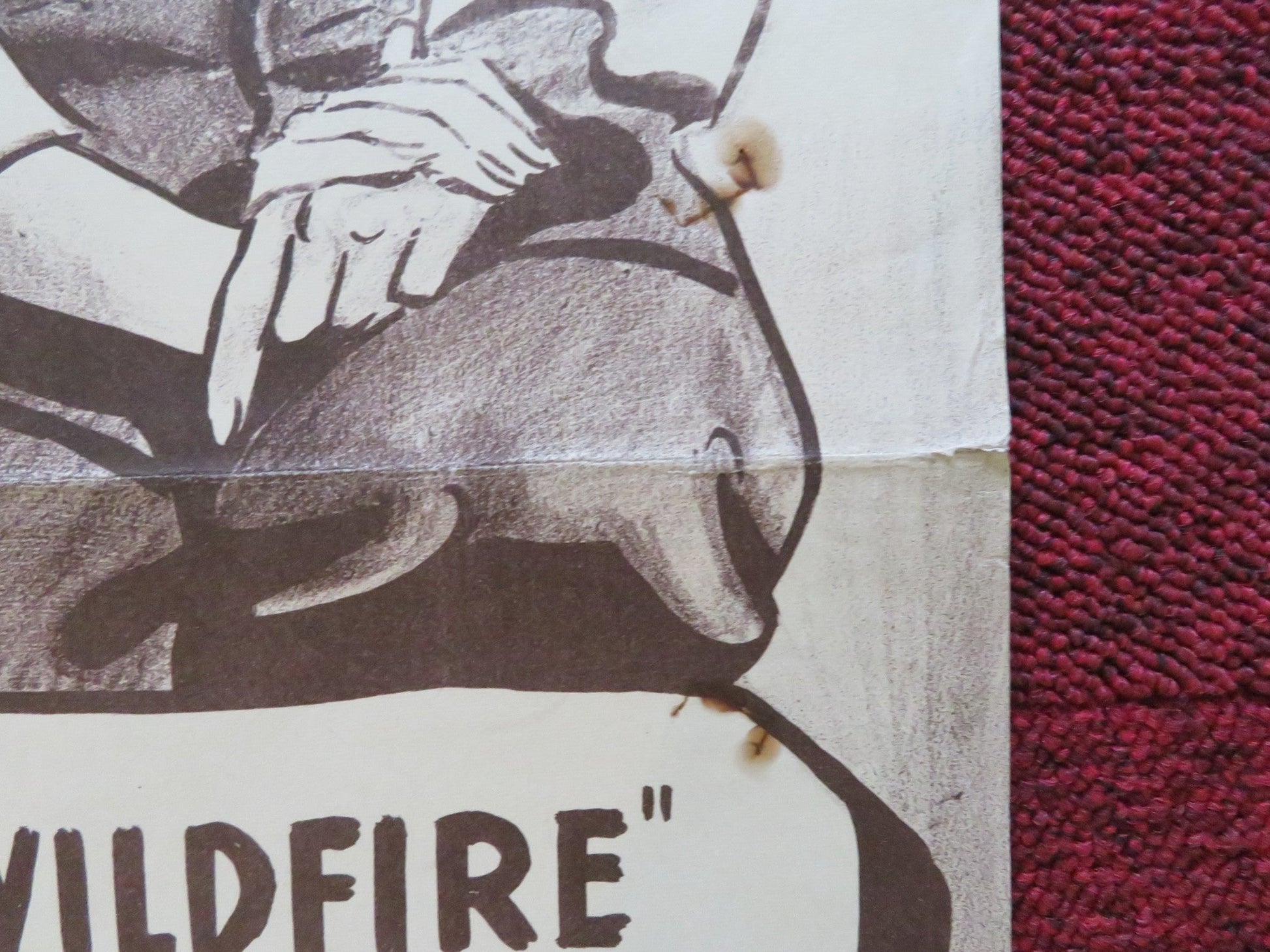 THE RETURN OF WILDFIRE DANISH POSTER ROLLED RICHARD ARLEN PATRICIA MORISON 1952 Rendezvous Cinema Movie posters