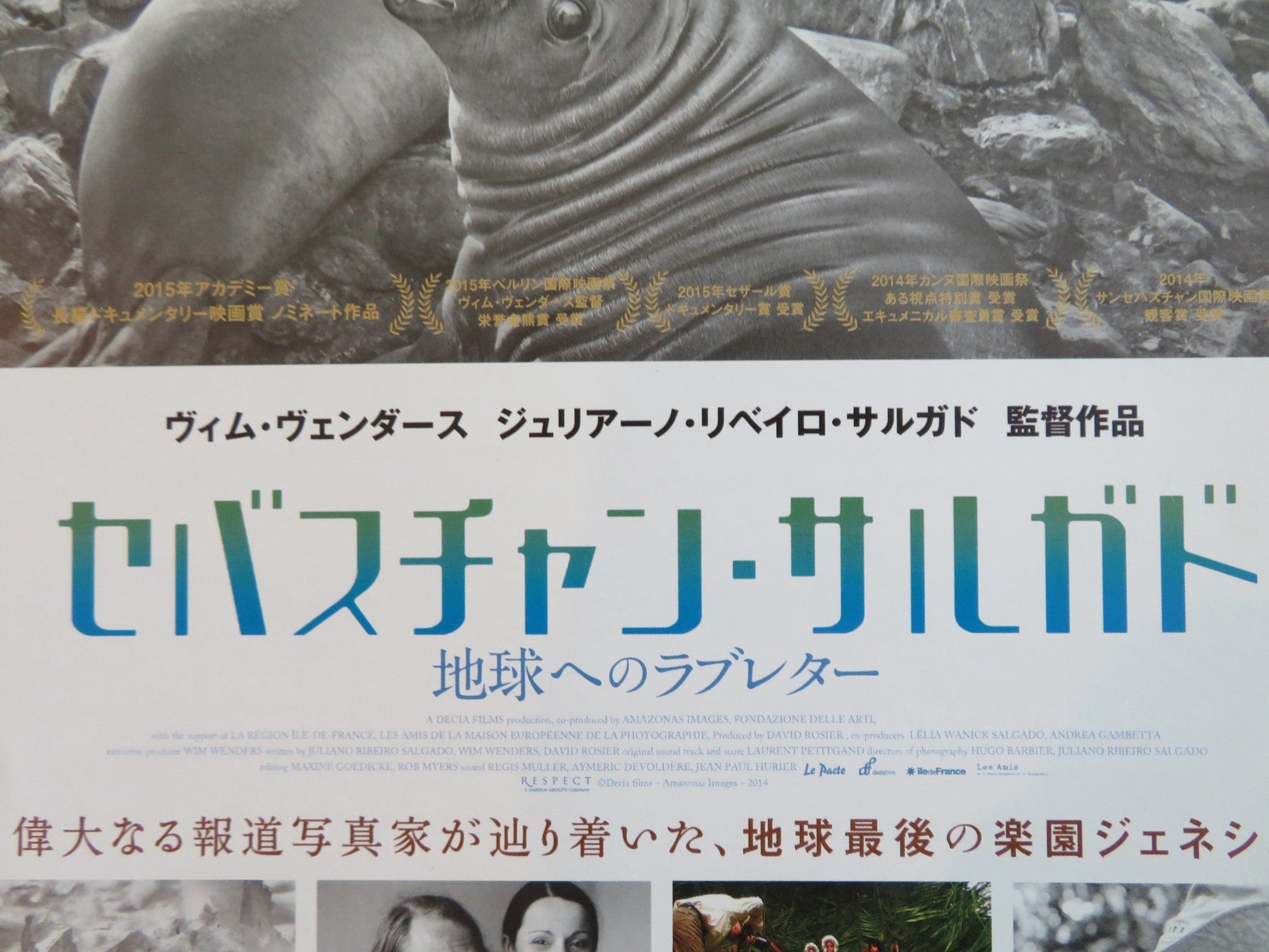 THE SALT OF THE EARTH JAPANESE CHIRASHI (B5) POSTER SEBASTIAO SALGADO 2014 Rendezvous Cinema Movie posters