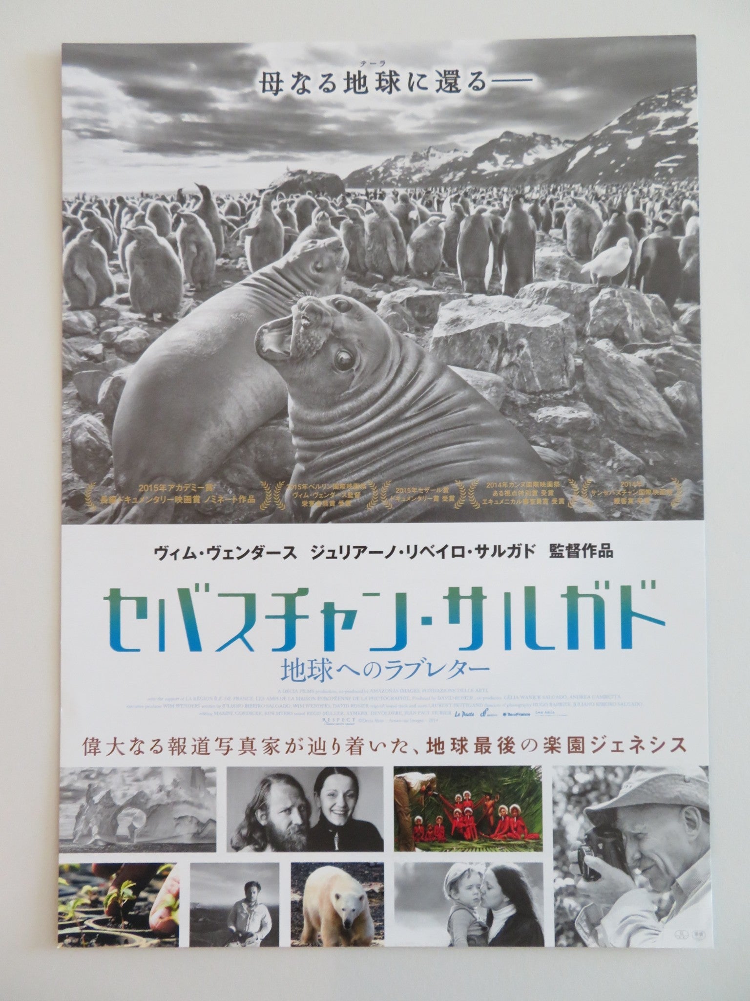 THE SALT OF THE EARTH JAPANESE CHIRASHI (B5) POSTER SEBASTIAO SALGADO 2014 Rendezvous Cinema Movie posters